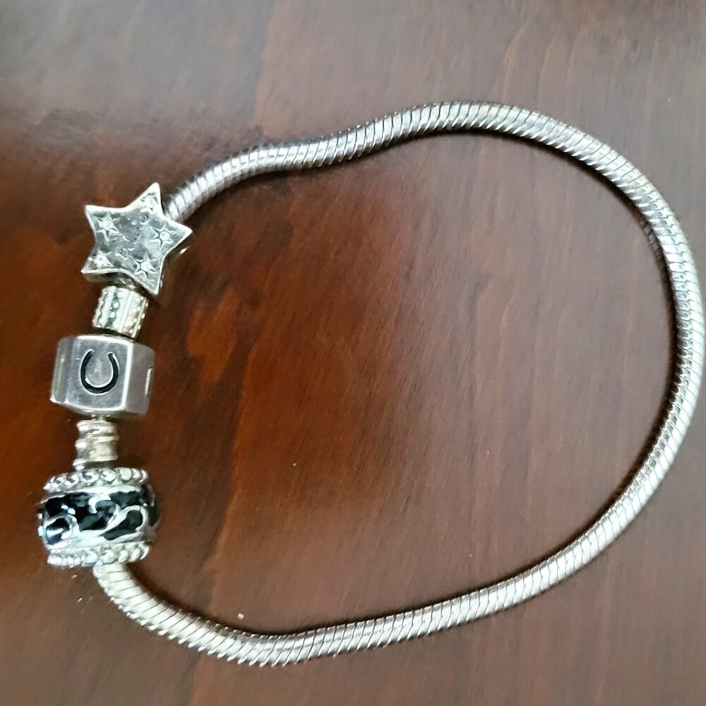 Pandora Sterling Silver Charm Bracelet